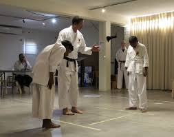 Image result for GoJu-Kai Karate Club