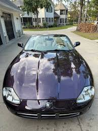 Image result for Amananth Purple 1999 Jaguar