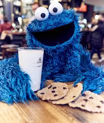 Image result for cookie monster