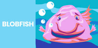 Image result for blobfish