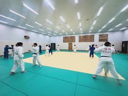 Image result for Horndean Zen Judo Club