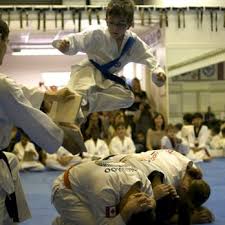 Image result for Surrey Taekwondo