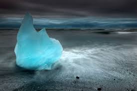 Image result for Ildblomkarse