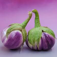 Afbeeldingsresultaat voor rosa bianca eggplant