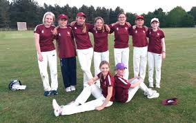 Image result for Halstead Colts Cricket Club