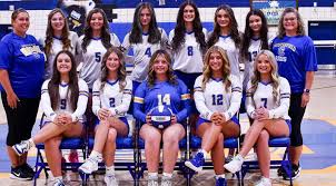 Image result for Chesterfield Cobras Volleyball Club