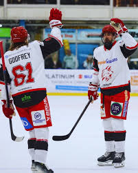 Image result for Swindon Panthers