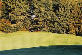 Image result for The Combe Martin Institute Club