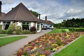 Image result for Croydon Disc Golf Club