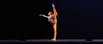 Image result for L&G Acrobatics