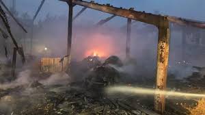 Image result for Mayhem Paintball