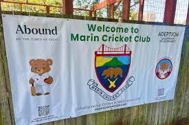Image result for Marnhull Cricket Club