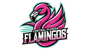 Image result for Flamingo Cricket Club
