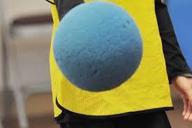 Image result for Leeds Dodge