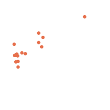 Attēlu rezultāti vaicājumam “Comatricha ellae”