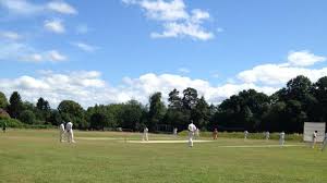 Image result for Frensham Cricket Club