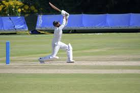 Image result for Bay Dragons CC