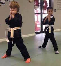 Image result for Plymouth Karate Club Kyokai