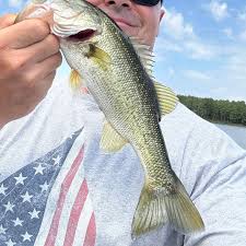 Image result for Channel SC-Weston SM