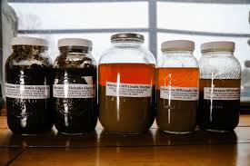 Attēlu rezultāti vaicājumam “Valeriana officinalis fruit”