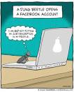 funny    Words and Toons