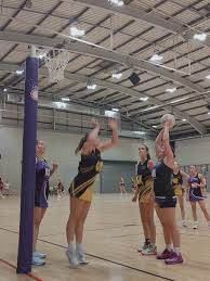 Image result for Challengers Netball Club