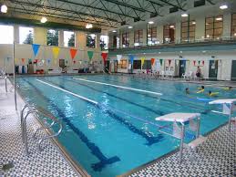 Image result for Chesterfield Swimming Club