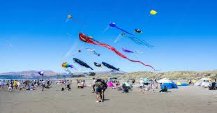 Image result for Brighton Kite Fliers