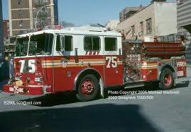 Image result for b%FD%E7ak anatomisi