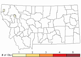 Attēlu rezultāti vaicājumam “Nardia geoscyphus”