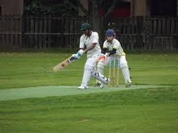 Image result for Hillhead Cricket Club