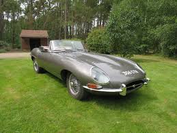Image result for Warwick Gray 1965 Jaguar