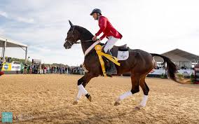 Image result for Jp-Sheffield Eventing