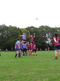 Image result for Cranleigh Football Club