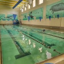 Image result for Chesterfield Swimming Club