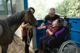 Image result for Riding For The Disabled