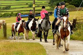Image result for Bookham Riding School