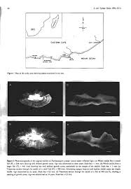 Image result for Pachymetopon grande