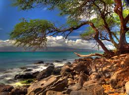 Image result for bad hdr