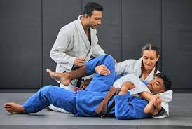 Image result for Brazilian-martial arts
