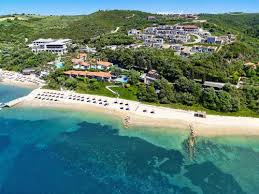 Image result for Palace Eagles Octopush Club