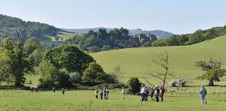 Image result for Taunton Deane