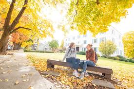 Image result for inthe.es