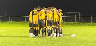 Image result for Beecholme Belles Banstead FC