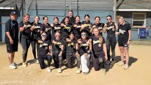 Image result for Cheetahs Softball Team