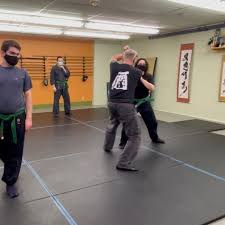 Image result for Bujinkan Plymouth Dojo