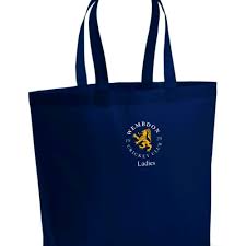 Image result for Wembdon Cricket Club