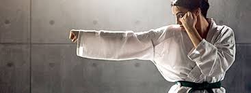 Image result for Twyford Higashi Karate Club