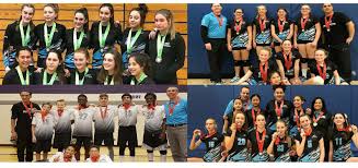 Image result for Halton Netball Club