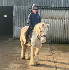 Image result for South Weylands Equestrian